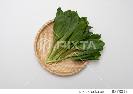 格蘭傑大蒜 102780951