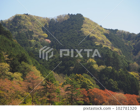 初夏的群山,綠意盎然 初夏的群山,綠意盎然 102781320