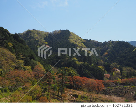 初夏的群山,綠意盎然 初夏的群山,綠意盎然 102781321