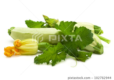 Flowers, leaves and vegetable marrow fruits isolated on a white background 102782944