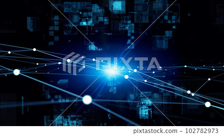 The network 102782973