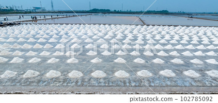 Sea salt farm in Thailand. Brine salt. Raw material of salt industrial. Sodium Chloride. Evaporation and crystallization of sea water. Worker working on a farm. Salt harvesting. Agriculture industry. 102785092