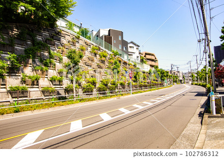 家附近的陡坡 102786312