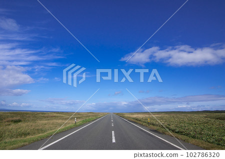 直路 直路 102786320