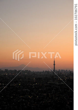 Competition between Mt.Fuji and Tokyo Skytree viewed from Chiba Prefecture 102786791