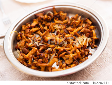 delicious forest mushrooms chanterelles fried in frying pan delicious forest mushrooms chanterelles fried in frying pan 102787112