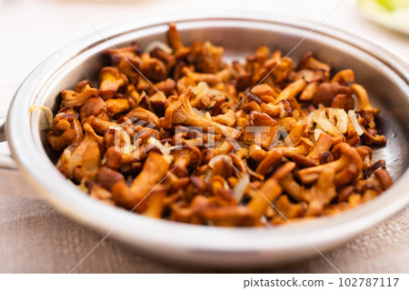 delicious forest mushrooms chanterelles fried in frying pan delicious forest mushrooms chanterelles fried in frying pan 102787117