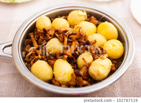 traditional dishes of Eastern European cuisine. Fried chanterelles with young potatoes in pan traditional dishes of Eastern European cuisine. Fried chanterelles with young potatoes in pan 102787119