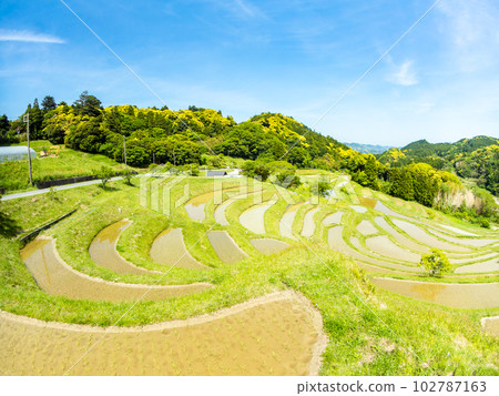 Oyama Senmaida in early summer Rice paddies after rice planting, photographed with a diagonal fisheye lens Oyama Senmaida in early summer Rice paddies after rice planting, photographed with a diagonal fisheye lens 102787163