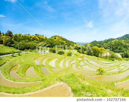 Oyama Senmaida in early summer Rice paddies after rice planting, photographed with a diagonal fisheye lens 102787166