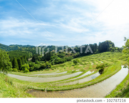 Oyama Senmaida in early summer Rice paddies after rice planting, photographed with a diagonal fisheye lens 102787216