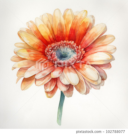 橙色非洲菊花的水彩風格插圖：AI 生成 102788077