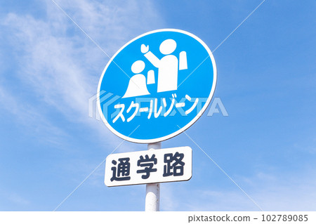 School route sign (school zone) 102789085