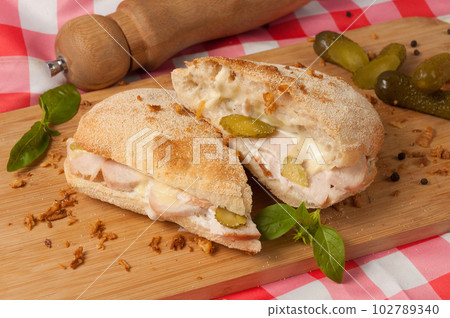 tasty panini with cream sauce and chicken tasty panini with cream sauce and chicken 102789340