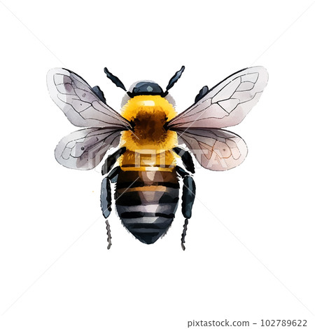 Colorful bee watercolor in beautiful style. Hand drawn vector illustration. Garden nature. Vector collection. Colorful bee watercolor in beautiful style. Hand drawn vector illustration. Garden nature. Vector collection. 102789622