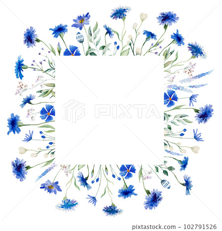 Watercolor blue cornflowers and wildflowers square frame, summer wedding isolated illustration Watercolor blue cornflowers and wildflowers square frame, summer wedding isolated illustration 102791526