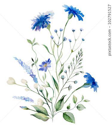 Watercolor blue cornflowers and wildflowers bouquet, summer wedding isolated illustration Watercolor blue cornflowers and wildflowers bouquet, summer wedding isolated illustration 102791527