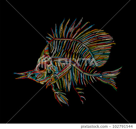 Fish skeleton icon 102791544