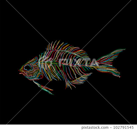 Fish skeleton vector icon Fish skeleton vector icon 102791545
