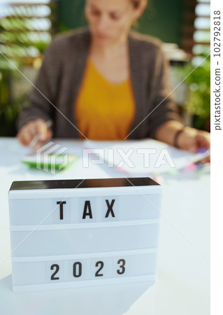 tax time. accountant woman working with documents 102792818
