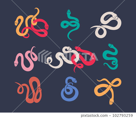 Set of graphic elements of cute twisted colorful snakes. Multicolored serpents against a dark background. Vector illustration for design. 102793259