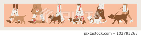 A man walks a dog on a leash. Various breeds of dogs for a walk. Dog show or dog walking in the city or in the park. Big set of vector multicolor illustrations. A man walks a dog on a leash. Various breeds of dogs for a walk. Dog show or dog walking in the city or in the park. Big set of vector multicolor illustrations. 102793265