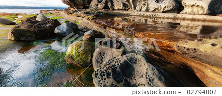 Rocky Shore on the Ocean Coast. Canadian Nature Background. Rocky Shore on the Ocean Coast. Canadian Nature Background. 102794002