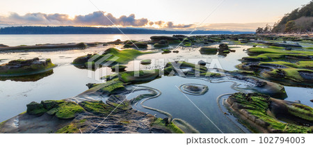 Rocky Shore on the Ocean Coast. Canadian Nature Background. 102794003