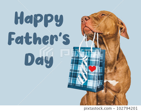 Happy Father's Day. Cute brown puppy and gift bag 102794201