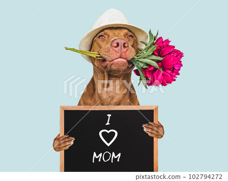Puppy and a sign with words of love for Mom Puppy and a sign with words of love for Mom 102794272