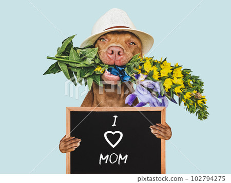 Puppy and a sign with words of love for Mom Puppy and a sign with words of love for Mom 102794275