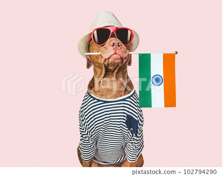 Charming brown dog, sun hat and Indian Flag Charming brown dog, sun hat and Indian Flag 102794290