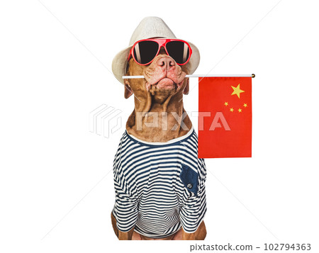 Brown puppy, sun hat and China Flag Brown puppy, sun hat and China Flag 102794363