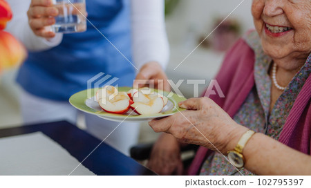 Nurse giving fruit snack to senior woman. Nurse giving fruit snack to senior woman. 102795397