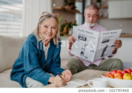 Senior couple spending leisure time together in their living room. 102795468