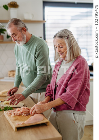 Senior couple cooking together in their kitchen. 102795479