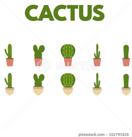 Illustration of cactus 102795826