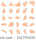 Illustration of hand 102795830