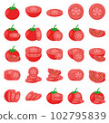 Illustration of tomato 102795839