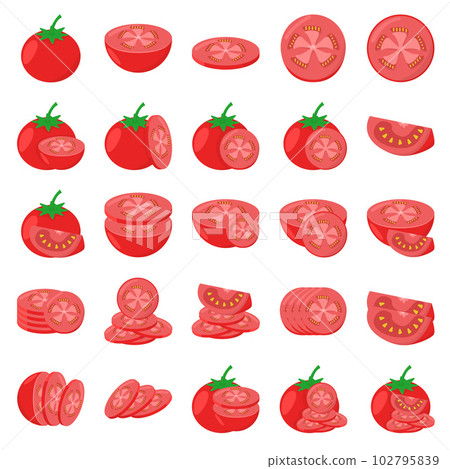 Illustration of tomato 102795839