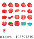 Illustration of tomato 102795840