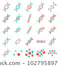 Illustration of DNA 102795897