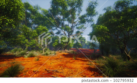 Coastal vegetation with trees and shrubs 102795932
