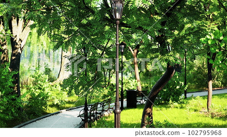 Stone Path through a Peaceful Green Park 102795968