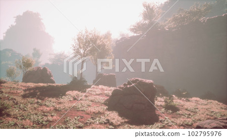 Red rock canyon desert area 102795976