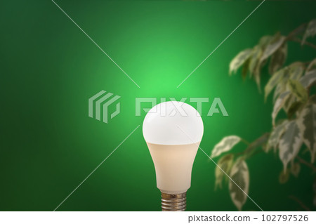 Green energy. Light lamp glowing on green plant background. Concept of Earth Day, energy-efficient lighting, Environmental protection important to world. Copy Space 102797526