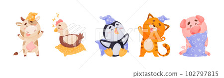 Cute Sleepy Animals Yawning and Sleeping in Nightcap with Pillow Vector Set Cute Sleepy Animals Yawning and Sleeping in Nightcap with Pillow Vector Set 102797815