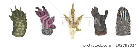 Animal Paw and Animalistic Pets Claw Vector Set 102798024