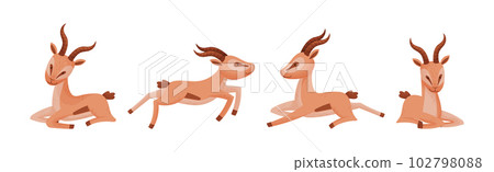 African Wild Gazelle with Long Horns and Hoofs Vector Set 102798088