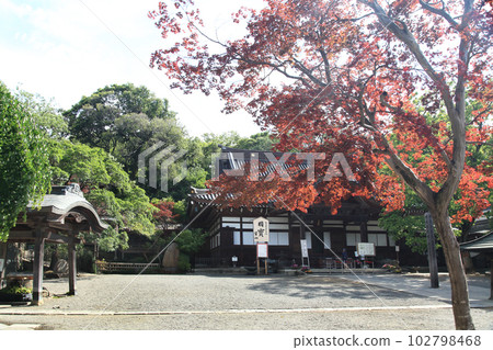 Shikedera Shikedera 102798468